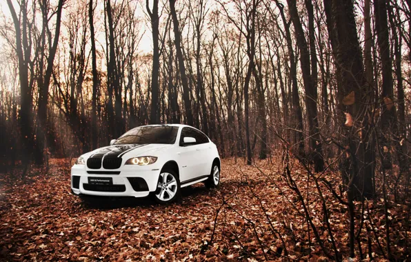 Картинка лес, листья, Осень, Белый, BMW, БМВ, внедорожник, white, tuning, E72