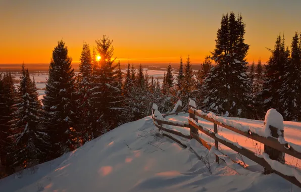 Картинка Nature, Winter, Landscape, Sun, Snow, Sunrise, Firs