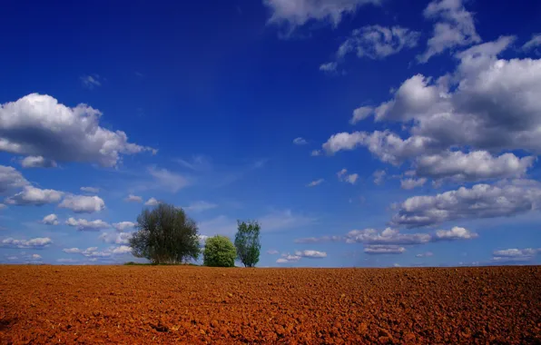 Картинка облака, деревья, Поле