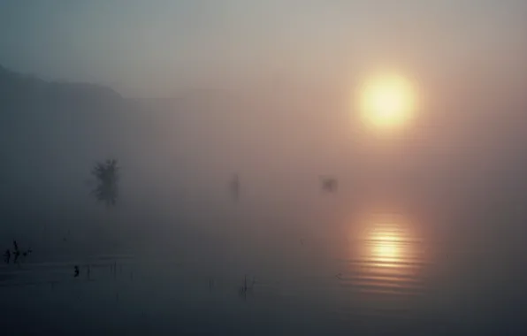 Картинка солнце, туман, озеро