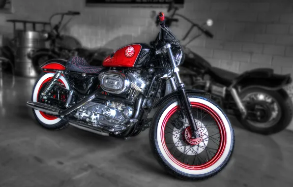 Картинка мотоцикл, байк, harley davidson, bike, custom, harley, f95