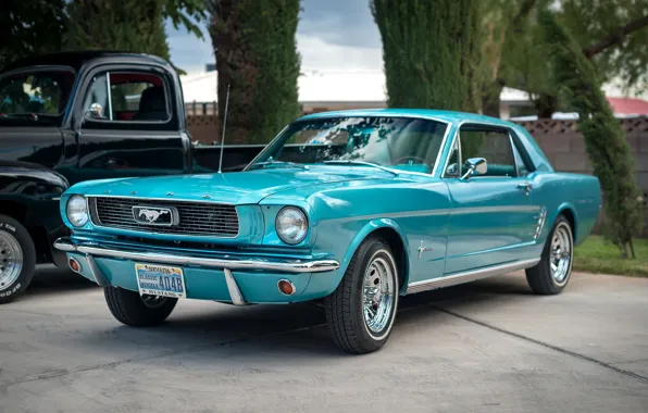 Картинка Mustang, Ford, классика, передок