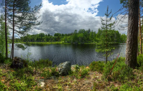 Картинка лес, трава, облака, деревья, камни, остров, Россия, удочка, Ладожское озеро, Карелия, Karelia, Lake Ladoga, Кильпола, …