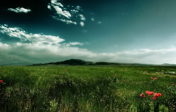 Картинка трава, облака, гора, Поле