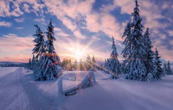 Картинка зима, солнце, свет, снег, звезда, утро, Норвегия