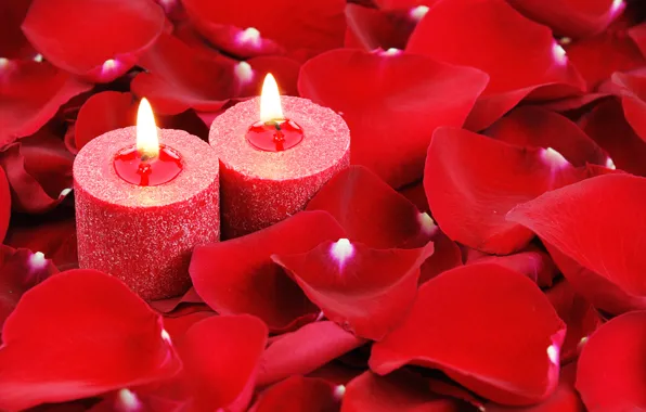 Картинка любовь, сердце, розы, свечи, лепестки, love, heart, romantic, Valentine's Day