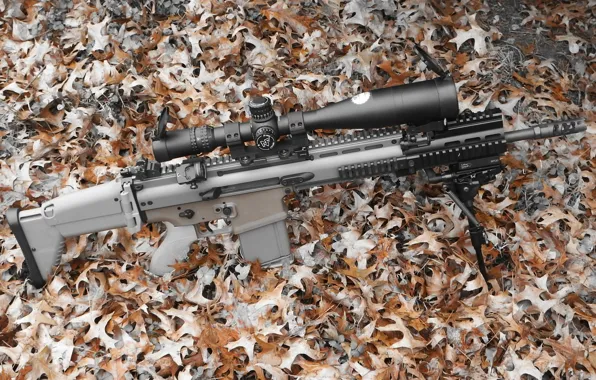 Картинка оружие, автомат, оптика, FN SCAR 17S