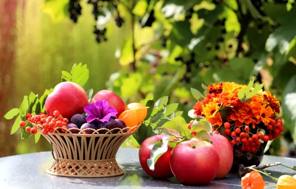 Картинка листья, цветы, стол, корзина, яблоки, фрукты, натюрморт, сливы, рябина