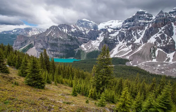 Картинка лес, горы, Канада, Альберта, Banff National Park, Alberta, Canada, Moraine Lake, Valley of the Ten …