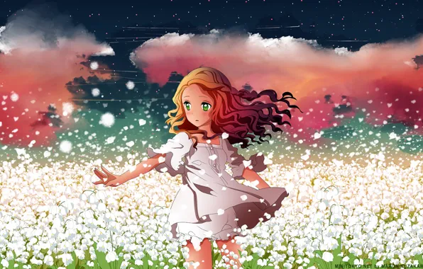 Картинка поле, небо, девушка, звезды, облака, цветы, аниме, лепестки, арт, h2so4, kuzakawe maron