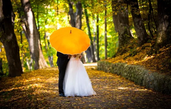 Картинка осень, девушка, деревья, любовь, желтый, зонтик, обои, настроения, женщина, зонт, костюм, wallpaper, мужчина, love, парень, …