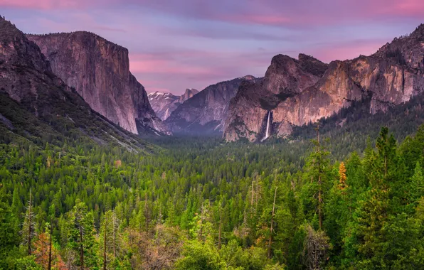 Картинка лес, небо, облака, деревья, закат, горы, весна, вечер, Калифорния, Апрель, США, Национальный парк Йосемити
