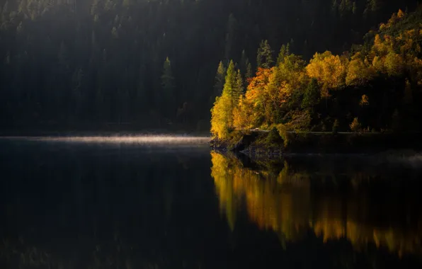 Картинка осень, лес, деревья, озеро, утро