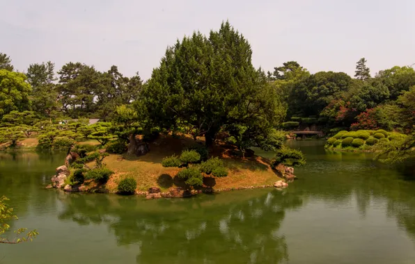 Картинка деревья, пейзаж, природа, пруд, парк, фото, Япония, Takamatsu, Ritsurin garden