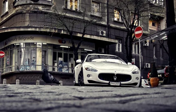 Картинка Maserati, белая, спортивная, white, GranTurismo, мазерати