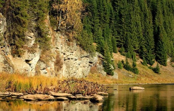 Картинка осень, деревья, река, камни, скалы, Россия, Пермский край, Койва