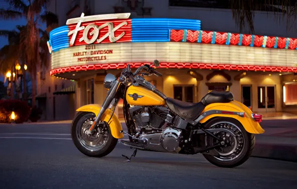 Картинка цвета, огни, мотоцикл, ярко, американский, Harley-Davidson, города., ночного, желтого
