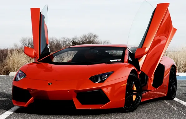 Картинка оранжевый, Lamborghini, двери, суперкар, передок, Ламборгини, LP700-4, Aventador, авентадор