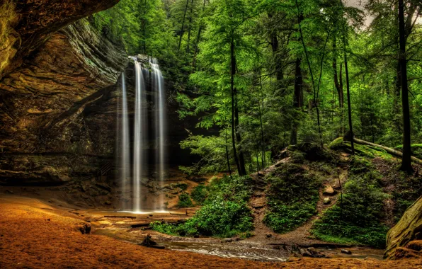 Картинка лес, водопад, Logan, Огайо, Ohio, Hocking Hills State Park, Национальный парк Хокинг Хиллз, Ash Cave …