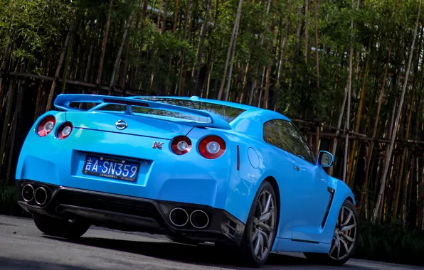 Картинка Nissan, blue, gtr, bamboo, back, r35