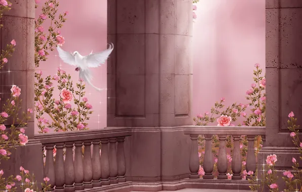 Картинка цветы, голубь, розы, колонны, полёт, flowers, dove, roses, pigeon, columns, розовый сад, Rose Garden