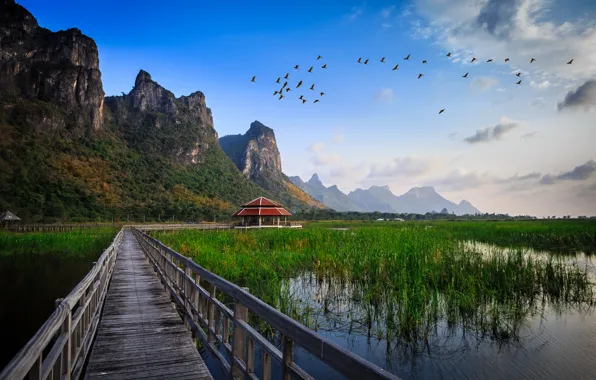 Картинка трава, вода, горы, птицы, мост, озеро, хижина, постройка, thailand, national park