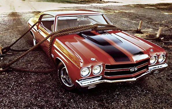 Картинка Chevrolet, Шевроле, канаты, Coupe, 1970, передок, 454, Chevelle, Muscle car, Hardtop, Мускул кар, Шевиль