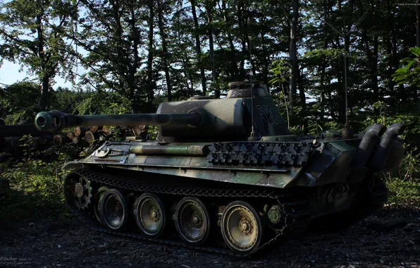 Картинка пантера, танк, германия, вторая мировая война, военная техника