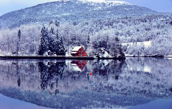 Картинка зима, лес, озеро, дом, иний, берег, гора, поплавок