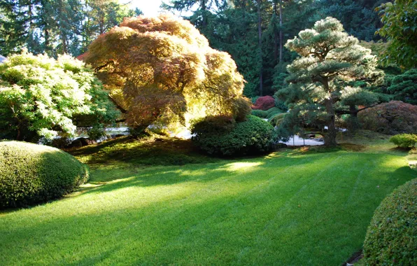 Картинка трава, деревья, природа, фото, сад, США, Portland