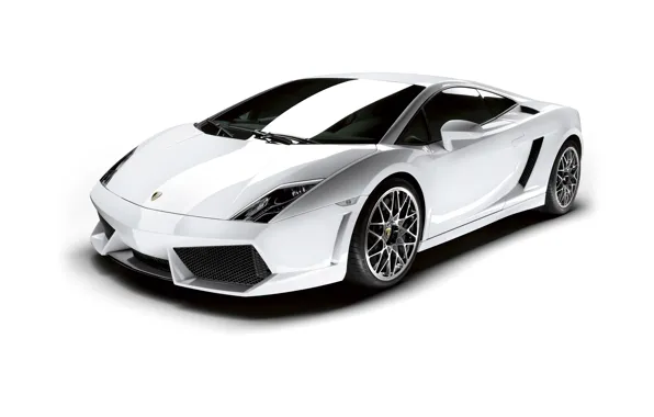 Картинка Lamborghini, белый фон, Gallardo, ламборгини, галлардо