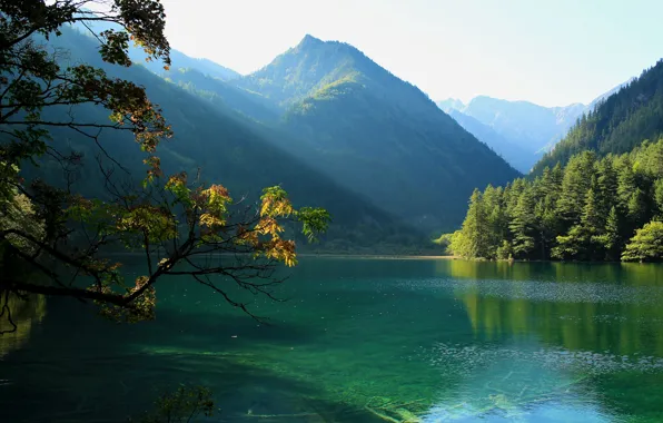Картинка солнце, деревья, горы, ветки, озеро, красота, Китай, Jiuzhaigou National Park