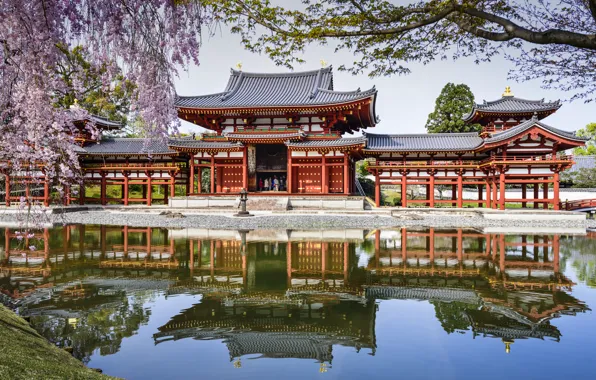 Картинка пруд, отражение, весна, Япония, сакура, Japan, водоём, Byodo-In Temple, Uji, Удзи, Храм Бёдо-ин