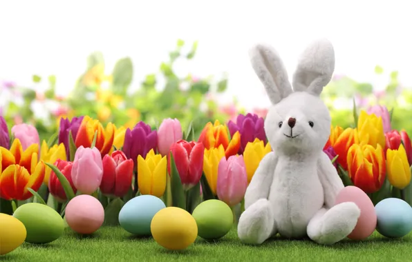 Картинка яйца, кролик, Пасха, тюльпаны, flowers, tulips, spring, Easter, eggs, bunny