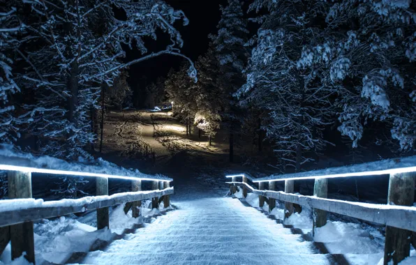 Картинка зима, снег, ночь, мост, парк
