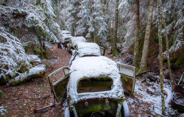 Картинка лес, снег, машины, лом