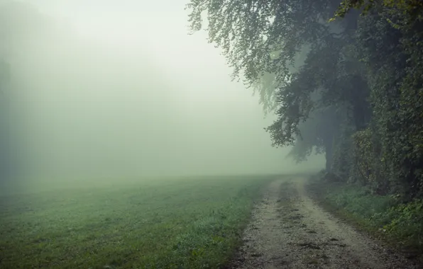 Картинка дорога, поле, природа, туман, утро