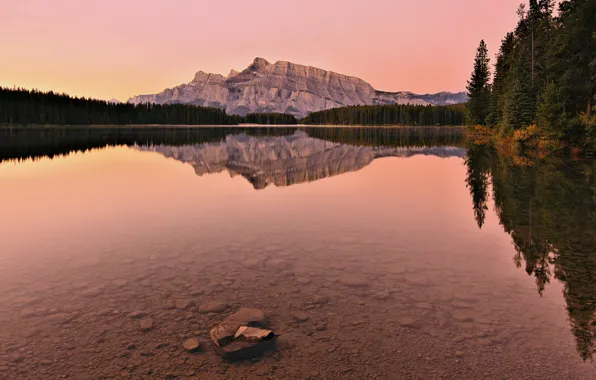 Картинка лес, горы, озеро, отражение, дно, Канада, Альберта, Banff National Park, Alberta, Canada, Банф, Mount Rundle, …