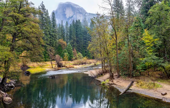 Картинка осень, лес, деревья, горы, ручей, камни, скалы, Калифорния, США, Йосемити, кусты, Yosemite National Park