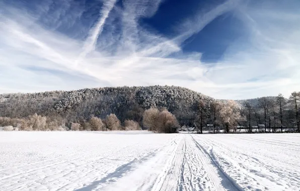 Картинка зима, дорога, поле, лес, небо, снег, пейзаж, природа, фон, обои, дома, горизонт, картинка