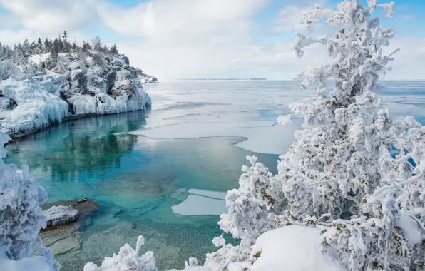 Картинка зима, снег, дерево, лёд, Канада, залив, Онтарио, Canada, Ontario, Bruce Peninsula National Park, Georgian Bay, …