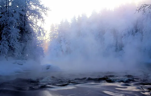 Картинка иней, лес, снег, деревья, туман, река, Зима, дымка