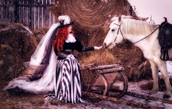 Картинка девушка, снег, конь, волосы, лошадь, шляпа, сено, наряд, рыжая, вуаль, дама, барышня
