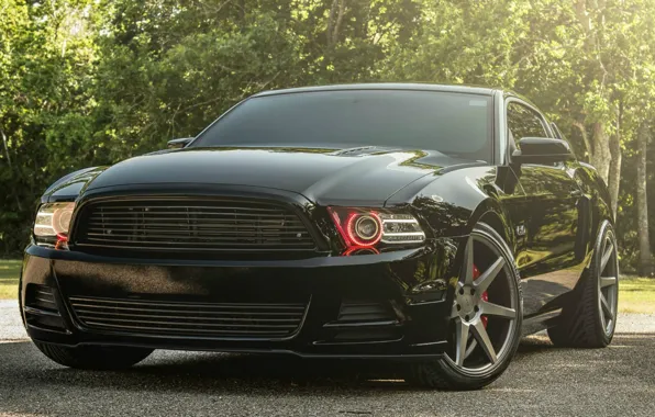 Картинка Ford, mustang, black, muscle car