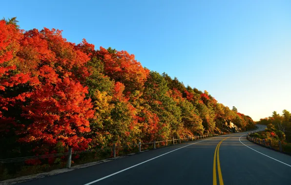 Картинка дорога, осень, небо, деревья