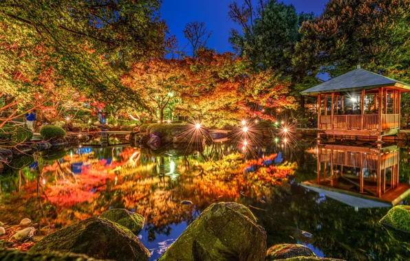 Картинка деревья, огни, пруд, парк, отражение, Япония, Токио, Tokyo, Japan, беседка, Otaguro park, Ogikubo