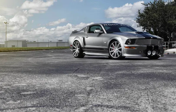 Картинка Mustang, Ford, muscle car, silvery, обвес, 550R