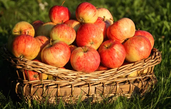 Картинка корзина, яблоки, плоды