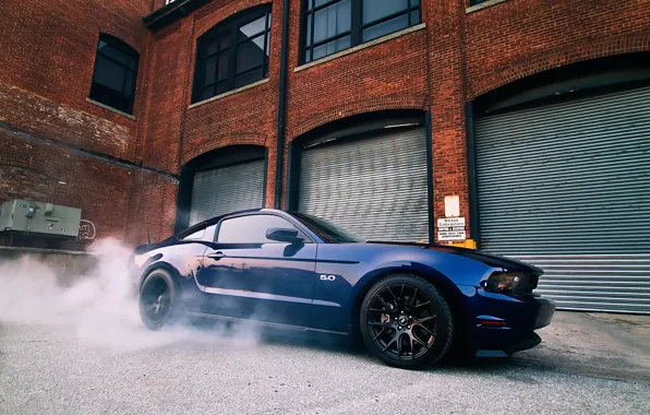 Картинка синий, Mustang, Ford, мустанг, мускул кар, форд, blue, muscle car, 5.0