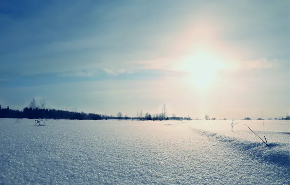 Картинка зима, поле, солнце, снег, пейзаж, рассвет, Природа, блестит
